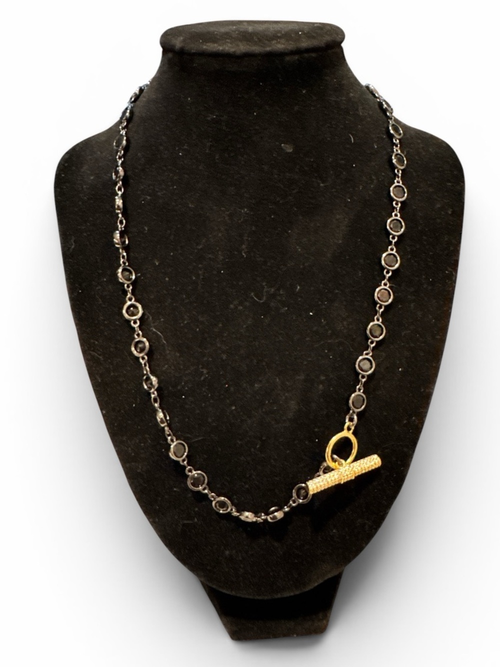 Two-Tone Circle Link Necklace with Gold Toggle Accent